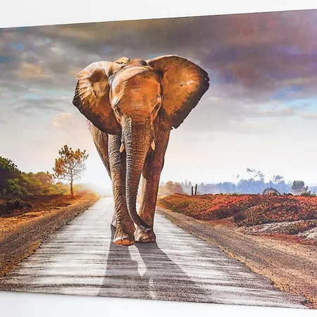 Friesenhuus Bensersiel Erdgeschoss Apartamento